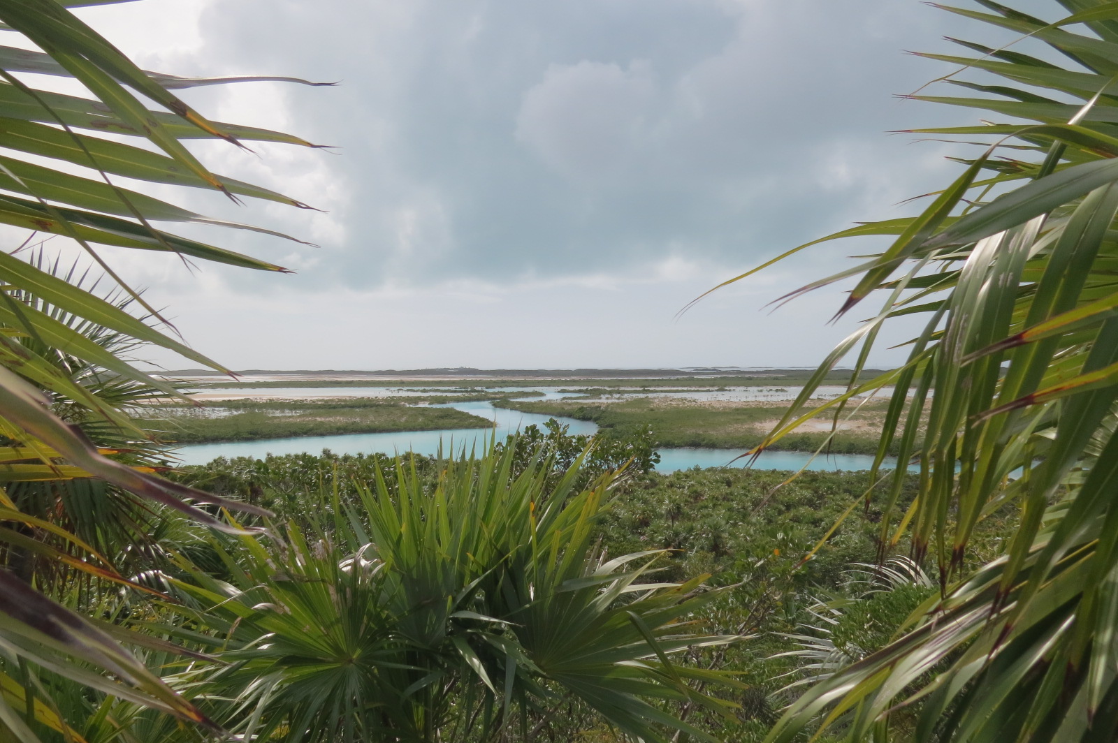 water trails of Shroud Cay