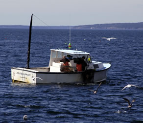 typical lobster boat