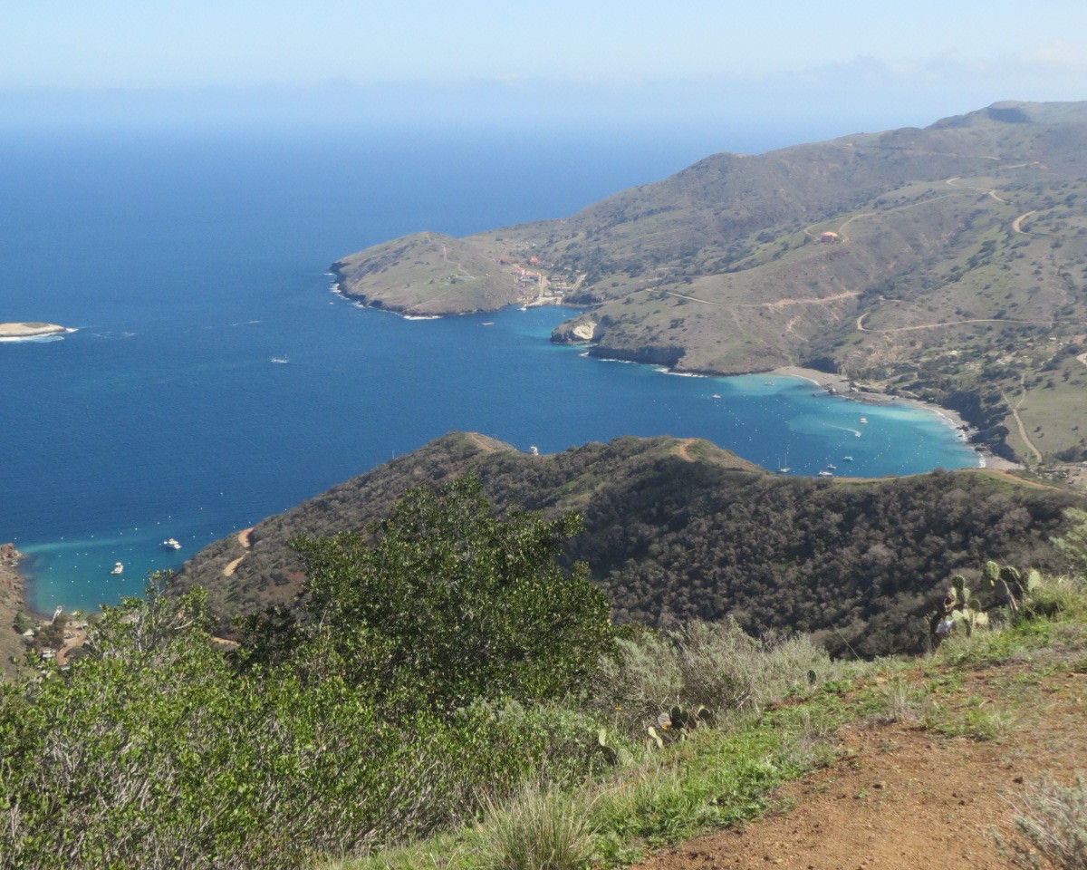 East Coast Catalina Island