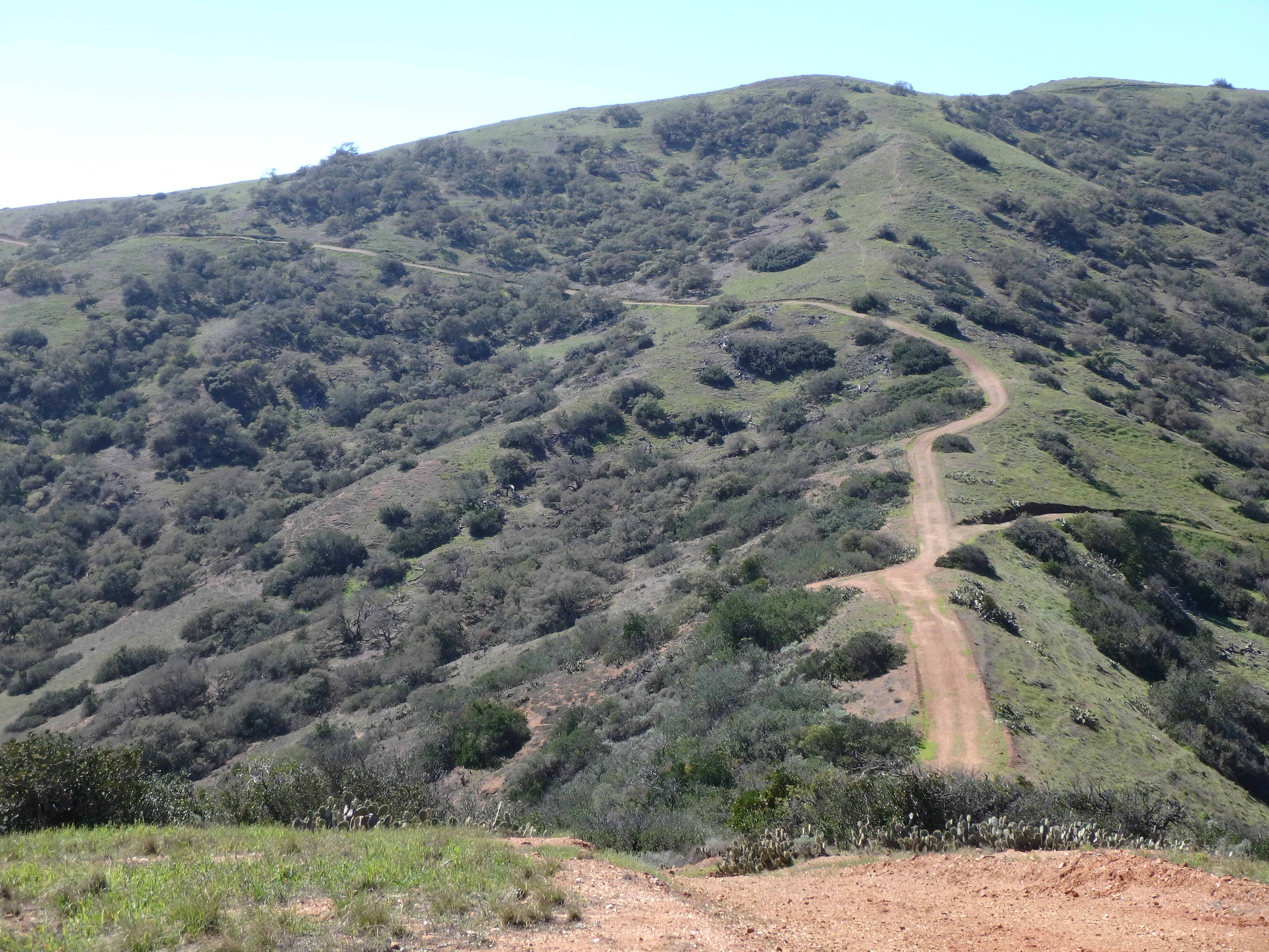 Trail in Two Harbors