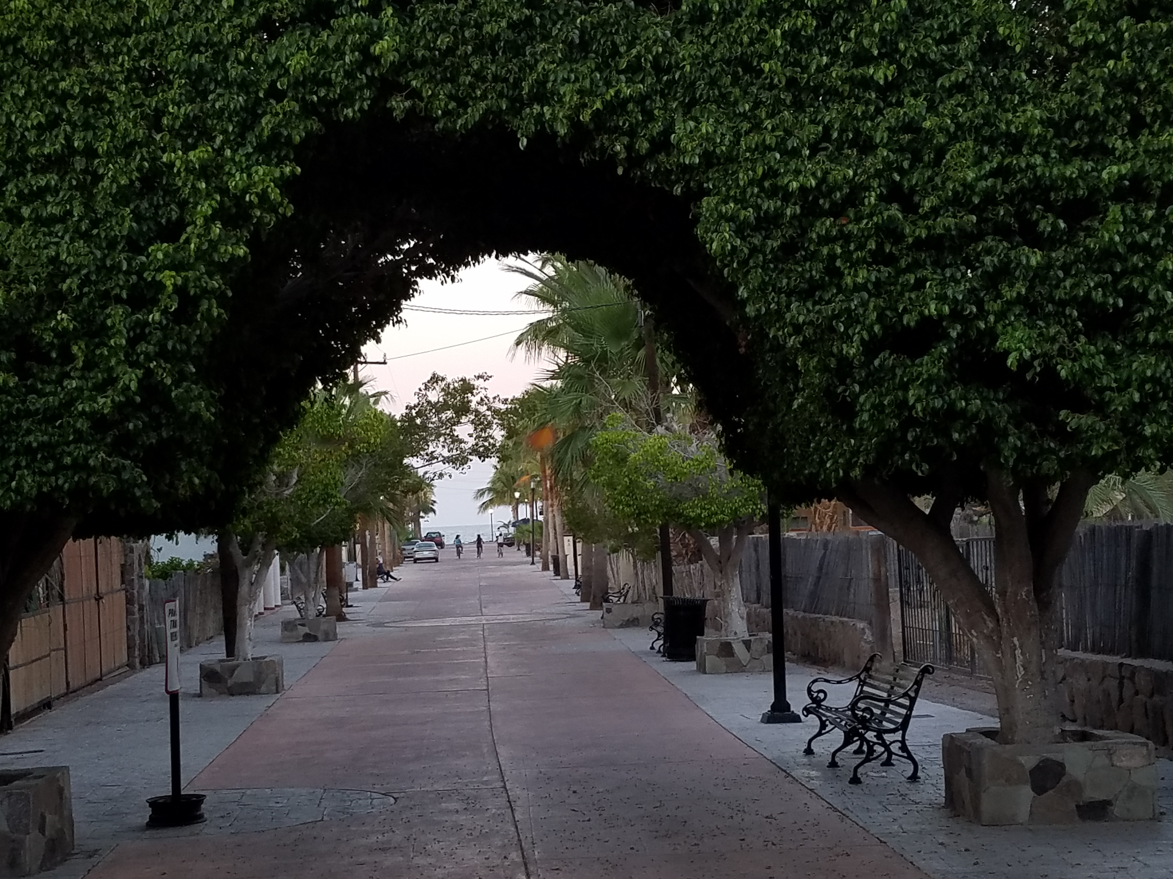 The town of Loreto, BCS