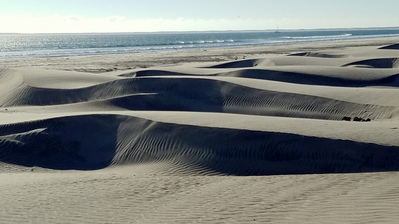 Dunes of San Quintin