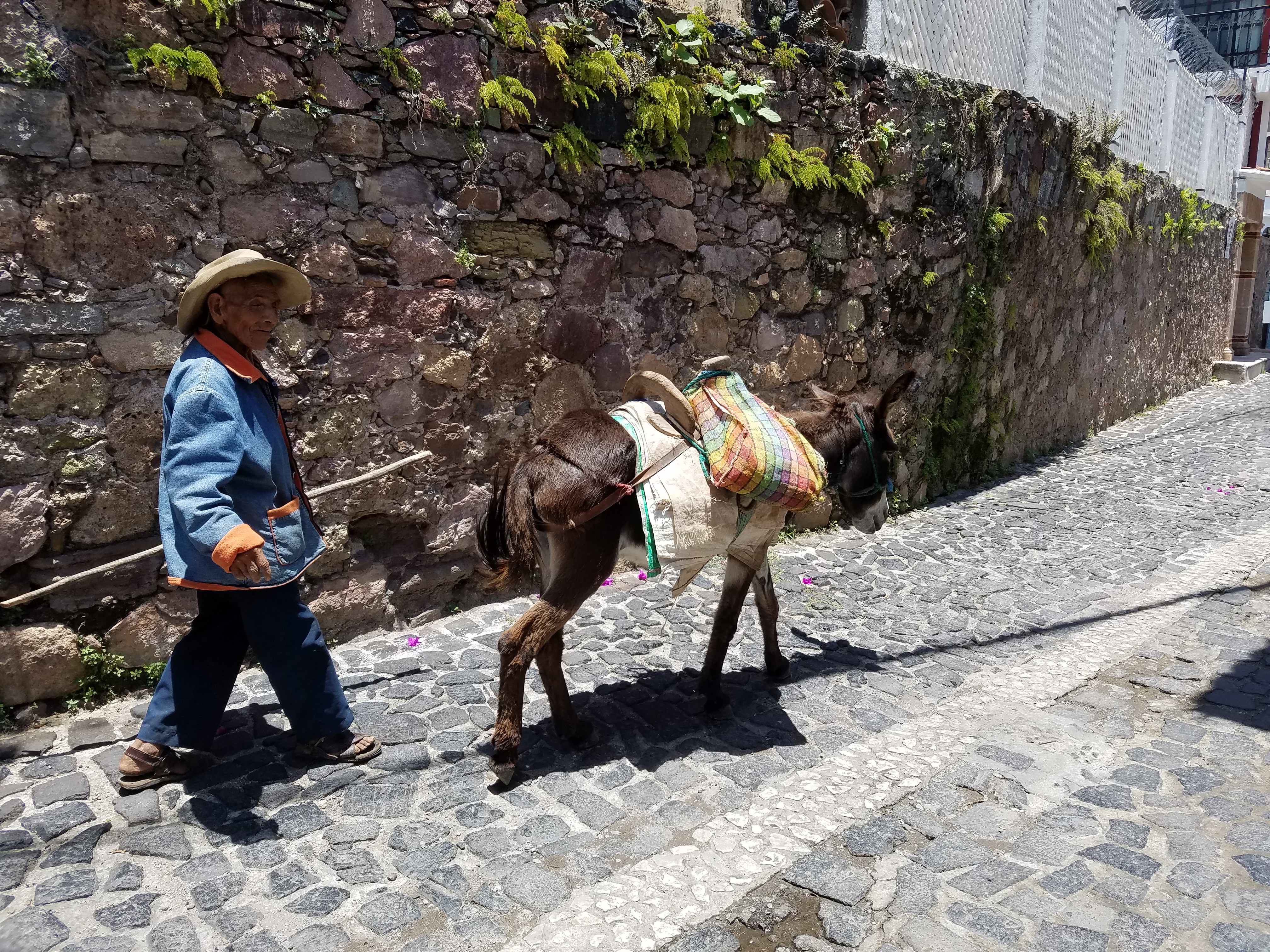 Donkeys are still used to transport, but on a smaller scale.